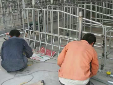 猪舍自动料线安装