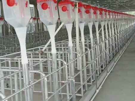 猪舍自动料线
